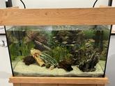 Fish tank